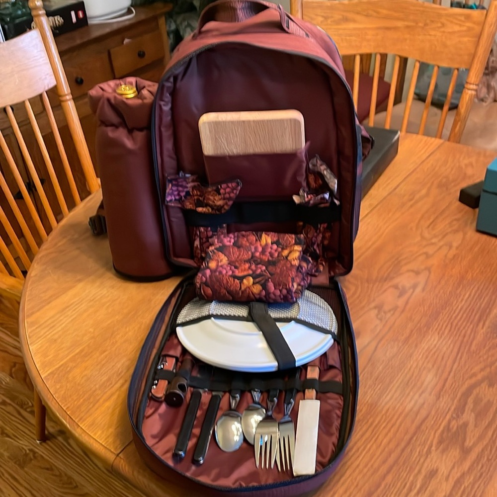 Picnic Time backpack